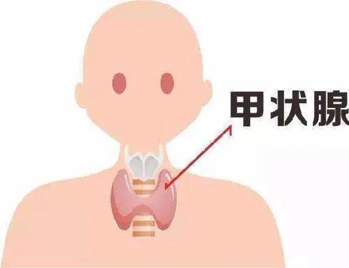 查出甲狀腺結(jié)節(jié)怎么辦？您關(guān)心的問題都在這里！