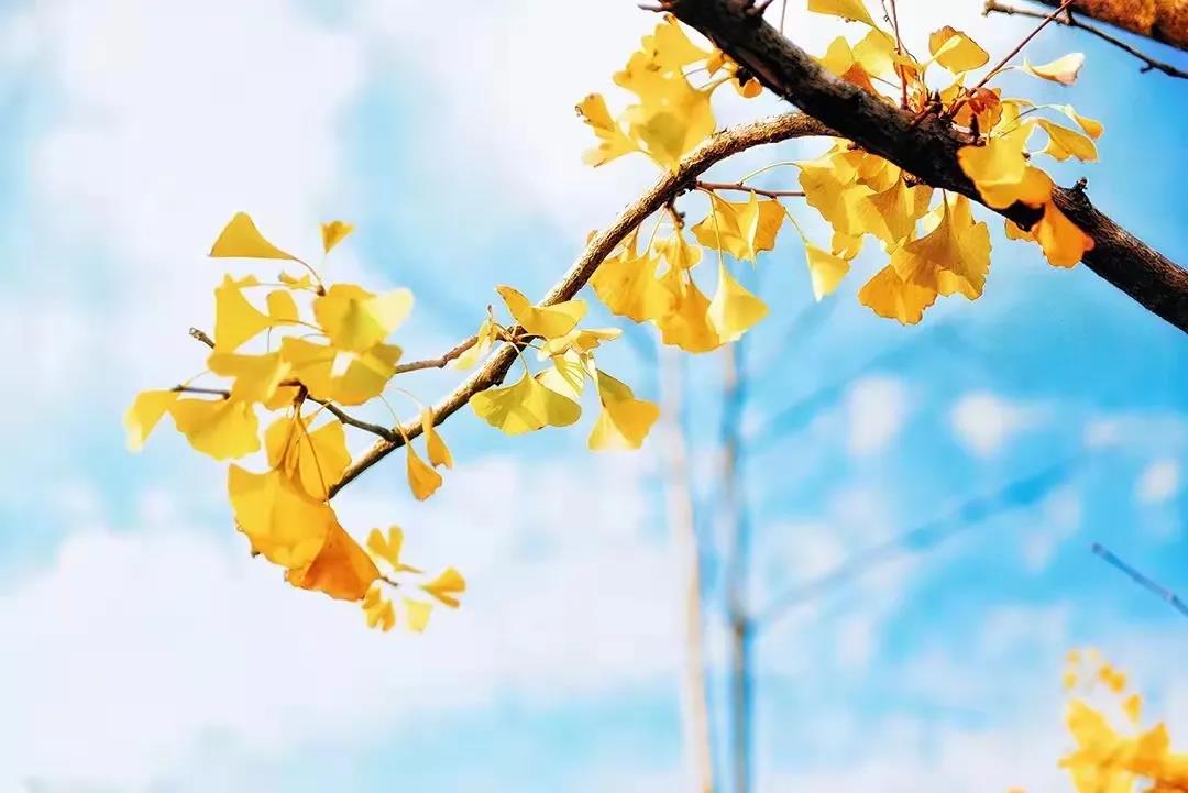 秋季心血管疾病多發(fā)，如何預(yù)防看這里！