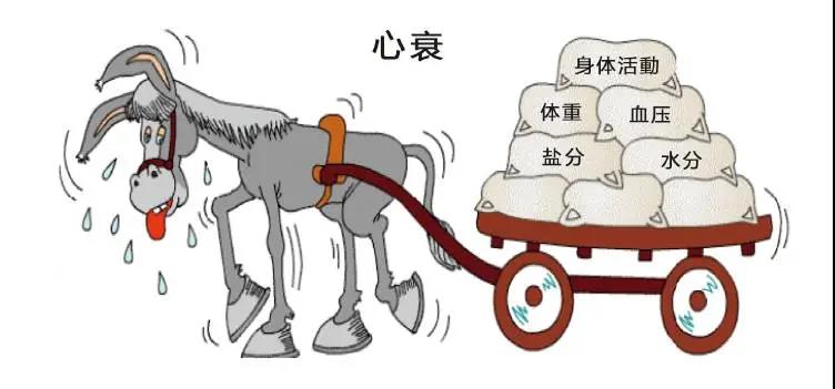 心衰患者怎么吃？別讓吃飯這么“吃力”！