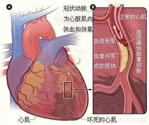 微信圖片_20200423082921.png